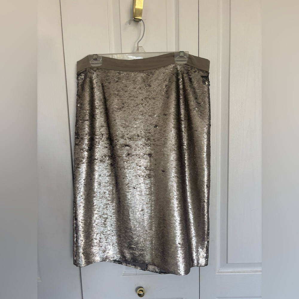 Banana Republic Silver Sequin Pencil Skirt